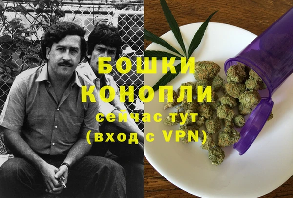 MDMA Новозыбков