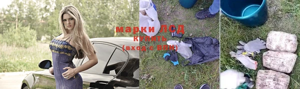шишки Алексин