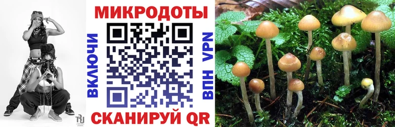 Галлюциногенные грибы Magic Shrooms Орск