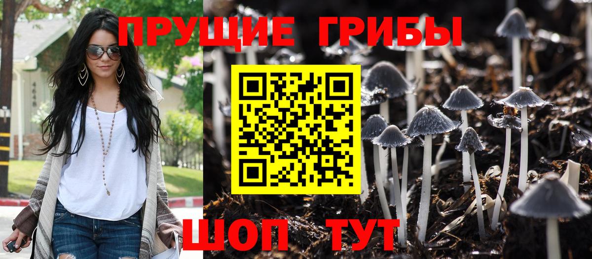 Орск  Псилоцибиновые грибы Psilocybine cubensis  наркошоп  Вход с VPN 