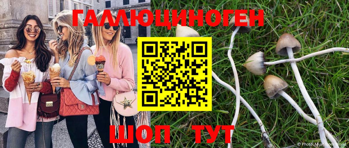 Псилоцибиновые грибы мухоморы Орск